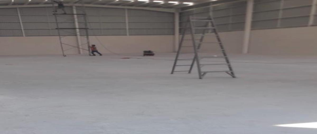 Foto de nave industrial en renta en  , la pradera, el marqués, querétaro, 30709602 No. 05