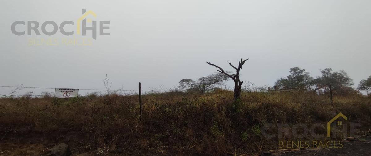 Foto de terreno habitacional en , la pradera, emiliano zapata, veracruz de ignacio de la llave, 0 foto 05 Foto de terreno habitacional en venta en , la pradera, emiliano zapata, veracruz de ignacio de la llave, 0 No. 05