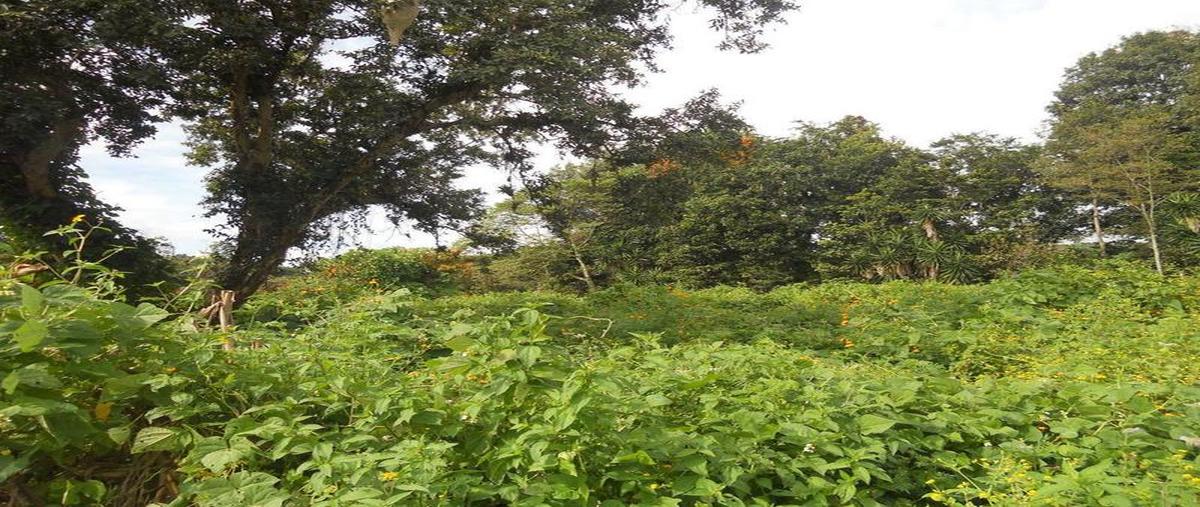 Foto de terreno comercial en venta en  , la pradera, emiliano zapata, veracruz de ignacio de la llave, 30298394 No. 03