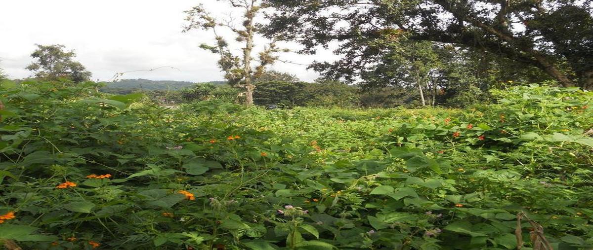 Foto de terreno comercial en venta en  , la pradera, emiliano zapata, veracruz de ignacio de la llave, 30298394 No. 04