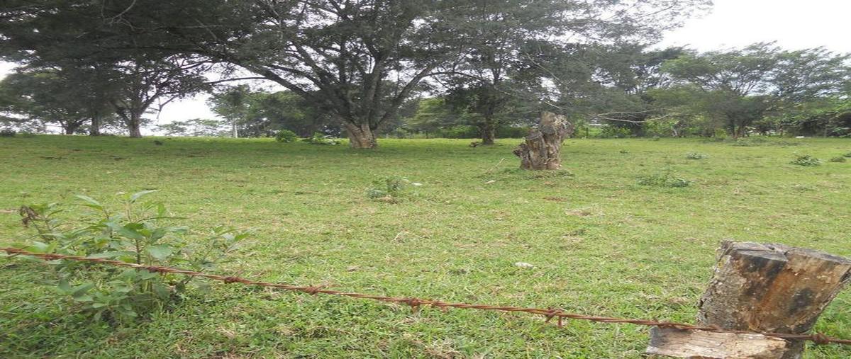Foto de terreno comercial en venta en  , la pradera, emiliano zapata, veracruz de ignacio de la llave, 30298396 No. 03