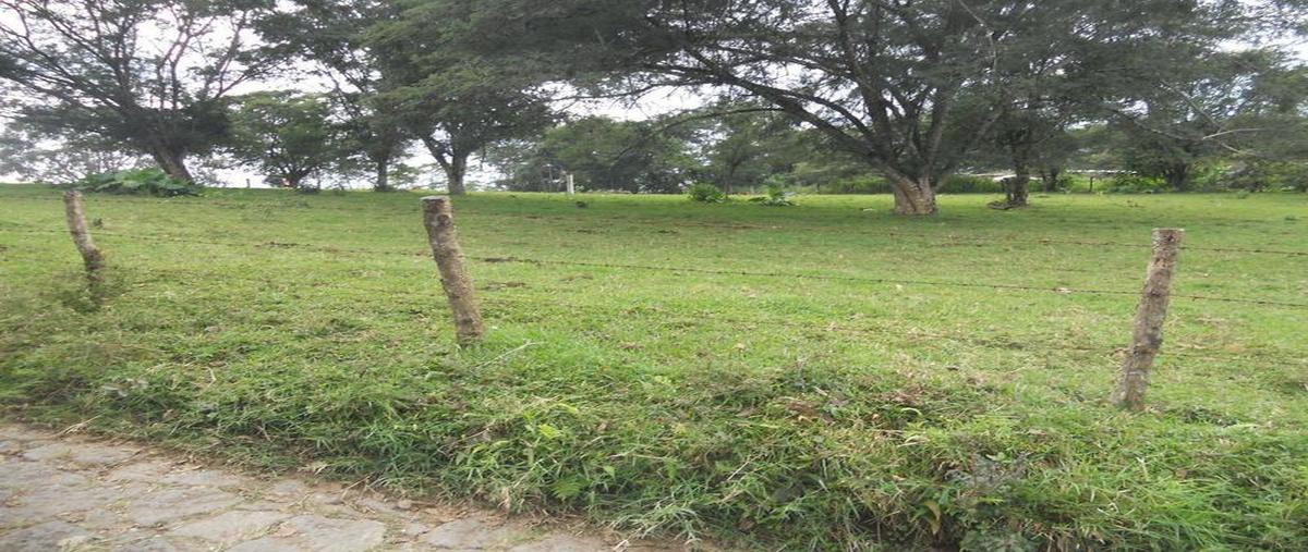 Foto de terreno comercial en venta en  , la pradera, emiliano zapata, veracruz de ignacio de la llave, 30298396 No. 04