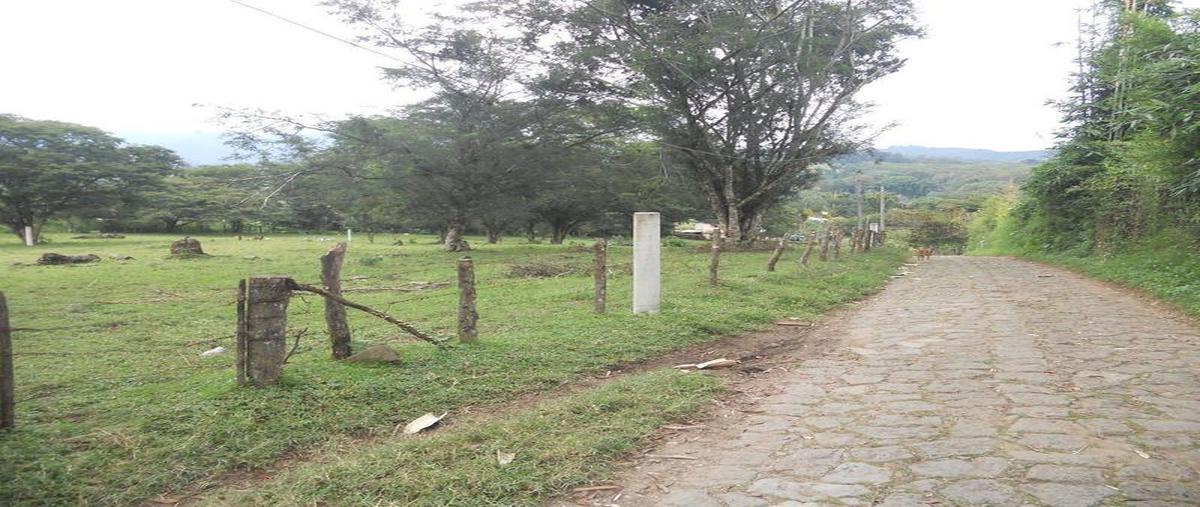 Foto de terreno comercial en venta en  , la pradera, emiliano zapata, veracruz de ignacio de la llave, 30298396 No. 05