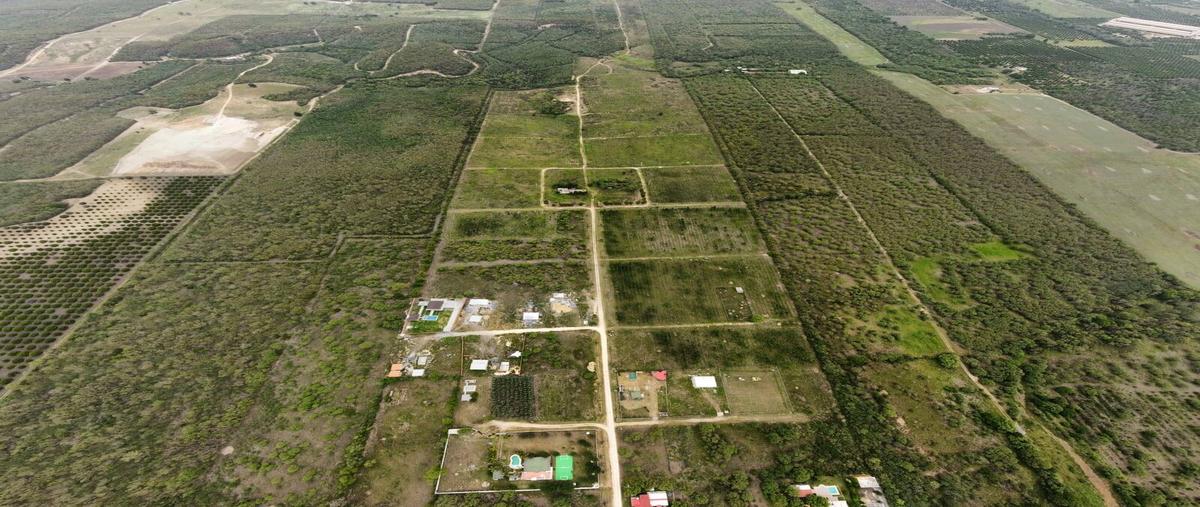 Foto de terreno comercial en , la primavera, montemorelos, nuevo león, 28194743 foto 02 Foto de terreno comercial en venta en , la primavera, montemorelos, nuevo león, 28194743 No. 02