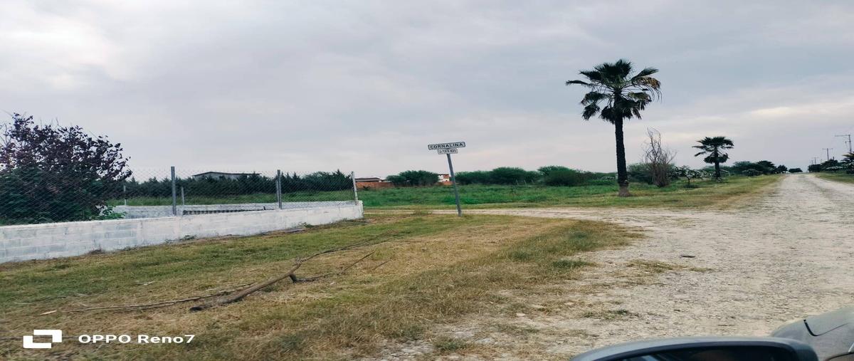 Foto de terreno comercial en , la primavera, montemorelos, nuevo león, 28194743 foto 03 Foto de terreno comercial en venta en , la primavera, montemorelos, nuevo león, 28194743 No. 03