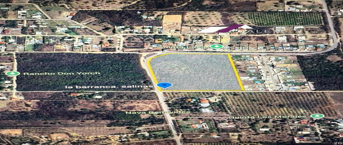 Foto de terreno habitacional en venta en  , la primavera, montemorelos, nuevo león, 0 No. 04