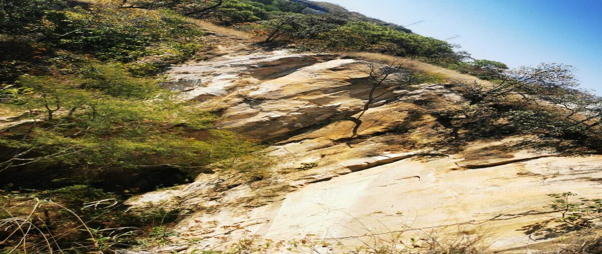 Foto de terreno habitacional en venta en  , la primavera, zapopan, jalisco, 0 No. 03
