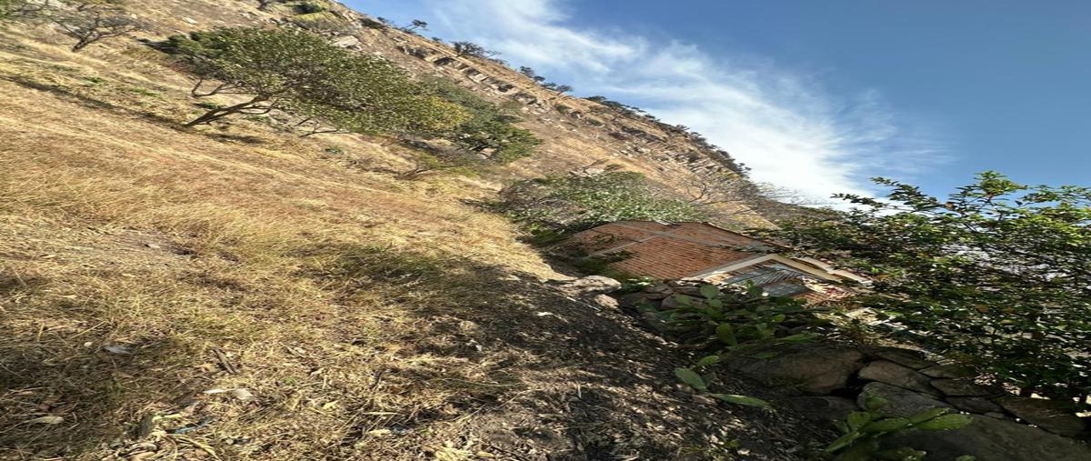 Foto de terreno habitacional en venta en  , la primavera, zapopan, jalisco, 0 No. 05