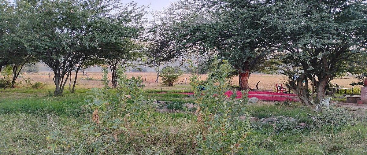 Foto de terreno habitacional en , la providencia, tlajomulco de zúñiga, jalisco, 0 foto 02 Foto de terreno habitacional en venta en , la providencia, tlajomulco de zúñiga, jalisco, 0 No. 02
