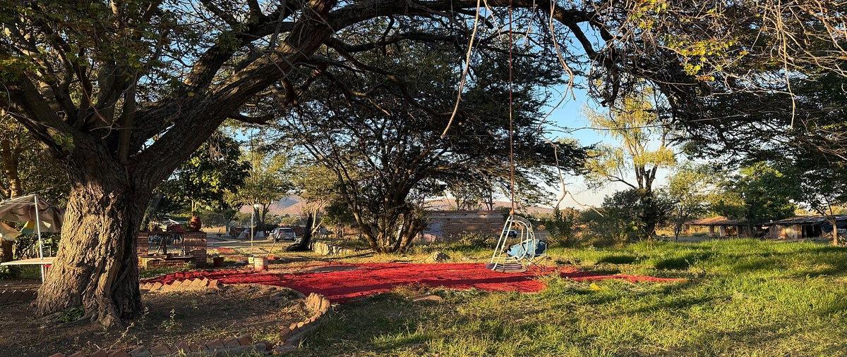 Foto de terreno habitacional en , la providencia, tlajomulco de zúñiga, jalisco, 30736960 foto 04 Foto de terreno habitacional en venta en , la providencia, tlajomulco de zúñiga, jalisco, 30736960 No. 04