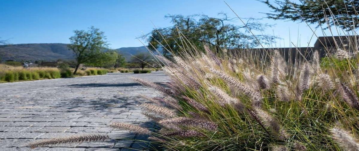 Foto de terreno habitacional en venta en la providenciacamino a alcocer kilometro , la providencia, san miguel de allende, guanajuato, 29890364 No. 04