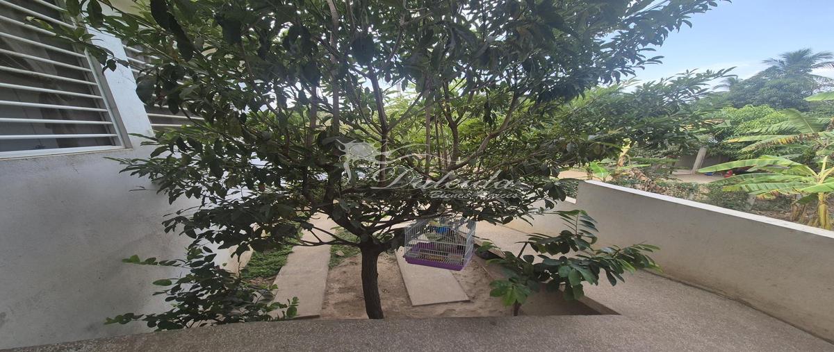 Foto de casa en venta en  , la puerta, zihuatanejo de azueta, guerrero, 0 No. 04