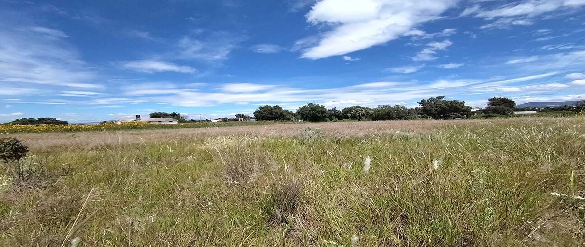 Foto de terreno habitacional en venta en  , la purificación tepetitla, texcoco, méxico, 30366941 No. 03