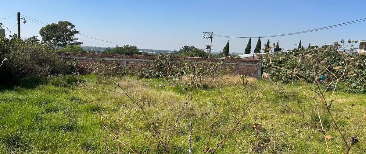 Foto de terreno habitacional en venta en  , la purificación tepetitla, texcoco, méxico, 0 No. 03