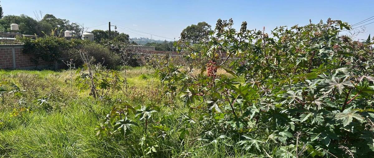 Foto de terreno habitacional en venta en  , la purificación tepetitla, texcoco, méxico, 0 No. 04