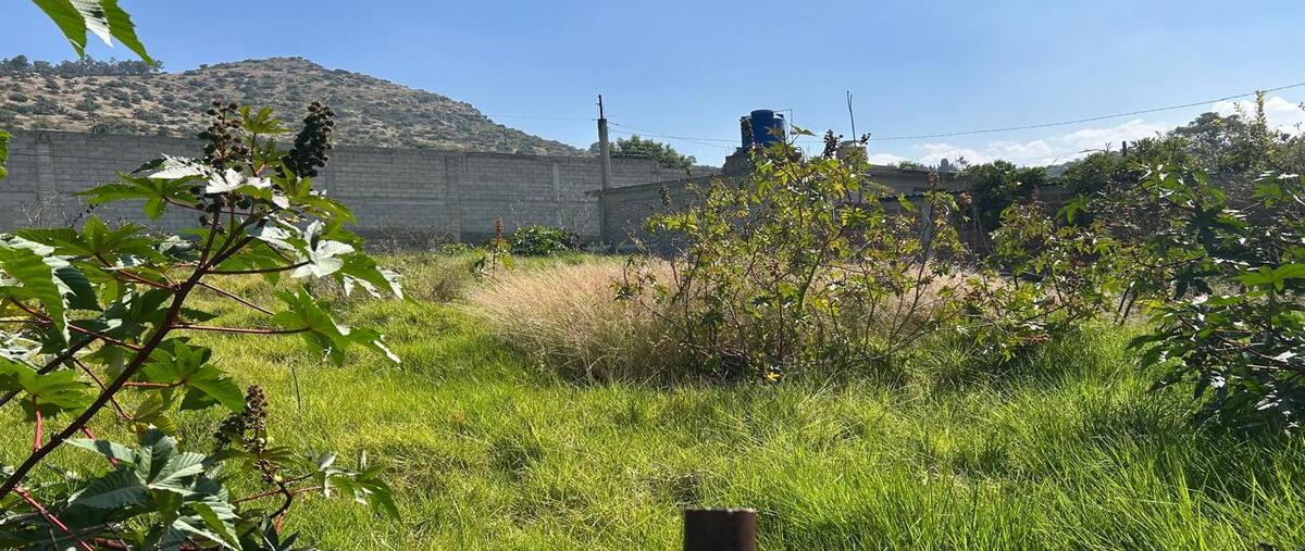 Foto de terreno habitacional en venta en  , la purificación tepetitla, texcoco, méxico, 0 No. 05
