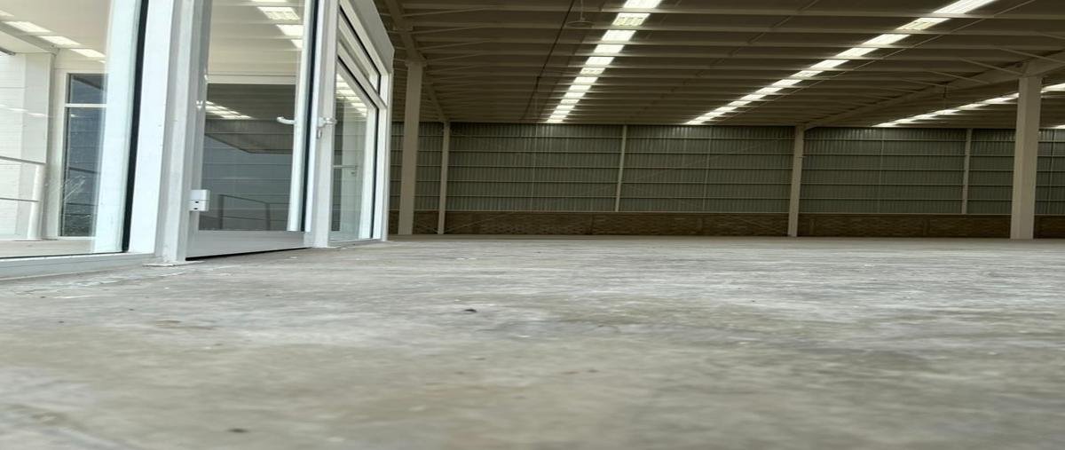 Foto de nave industrial en renta en  , la purísima, querétaro, querétaro, 30175509 No. 04