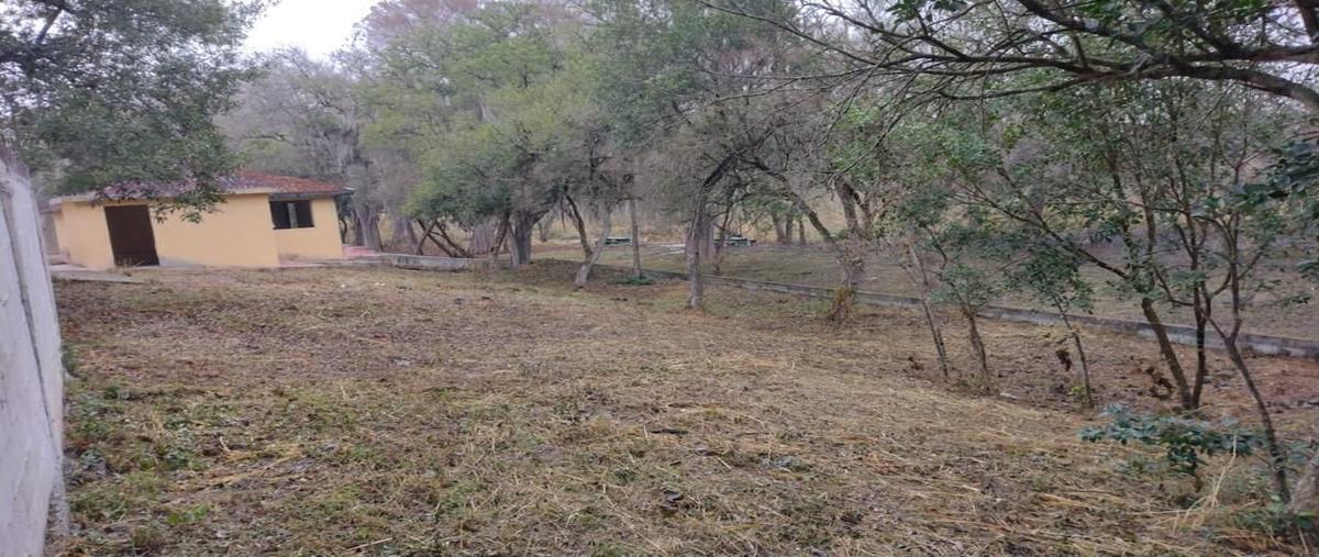 Foto de terreno habitacional en venta en la pusima , atongo de abajo, cadereyta jiménez, nuevo león, 28376048 No. 03