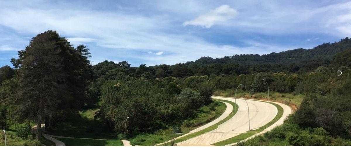 Foto de terreno habitacional en venta en  , la quinta san martín, san cristóbal de las casas, chiapas, 16310639 No. 04