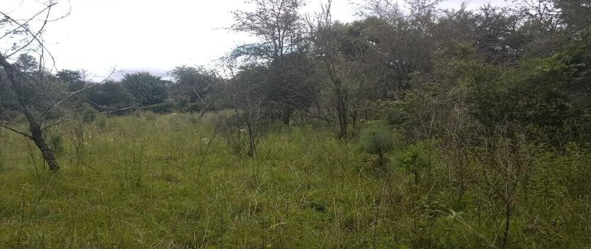Foto de terreno habitacional en venta en  , la quinta san martín, san cristóbal de las casas, chiapas, 22422671 No. 03