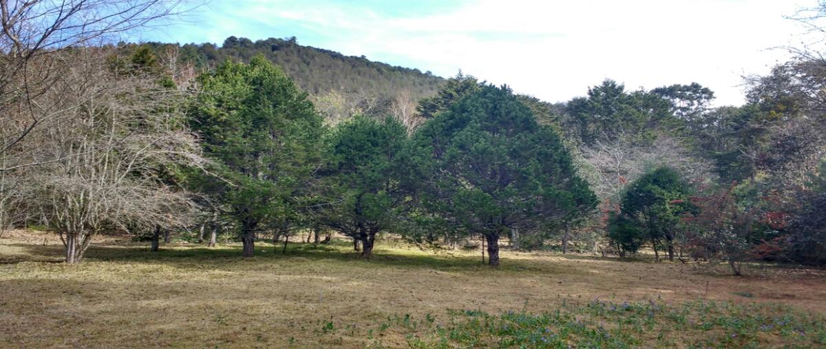Foto de terreno habitacional en venta en  , la quinta san martín, san cristóbal de las casas, chiapas, 22422671 No. 04