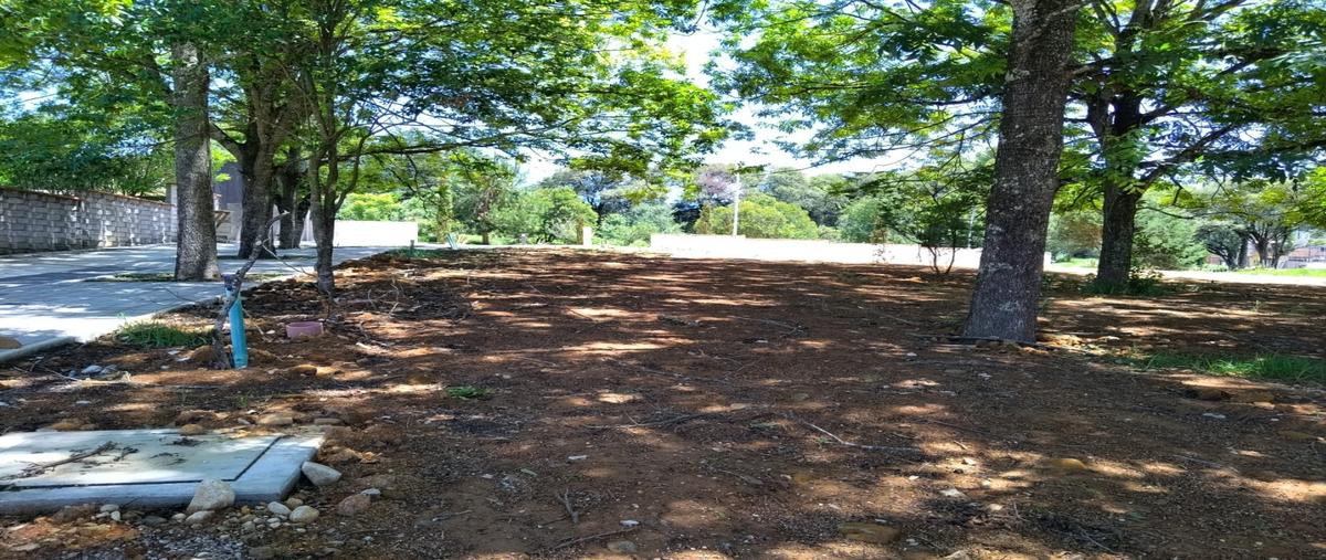 Foto de terreno habitacional en venta en  , la quinta san martín, san cristóbal de las casas, chiapas, 30356240 No. 05