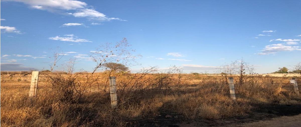 Foto de terreno habitacional en venta en  , la r, la piedad, michoacán de ocampo, 24416469 No. 01