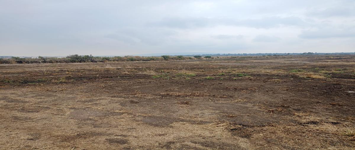 Foto de terreno habitacional en venta en  , la rana, arandas, jalisco, 0 No. 03