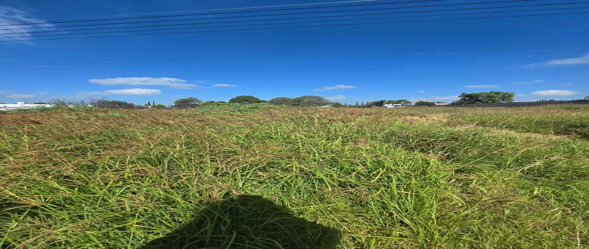 Foto de terreno habitacional en venta en la redonda , montequis las coloradas, ezequiel montes, querétaro, 0 No. 05