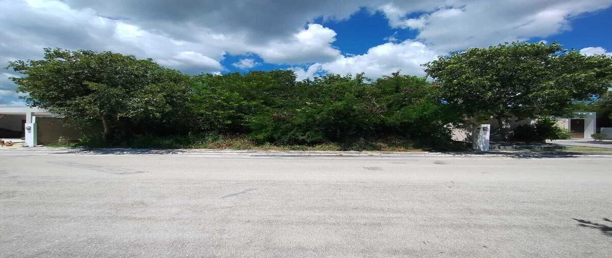 Foto de terreno habitacional en venta en la rejoyada , la rejoyada, mérida, yucatán, 28735013 No. 04