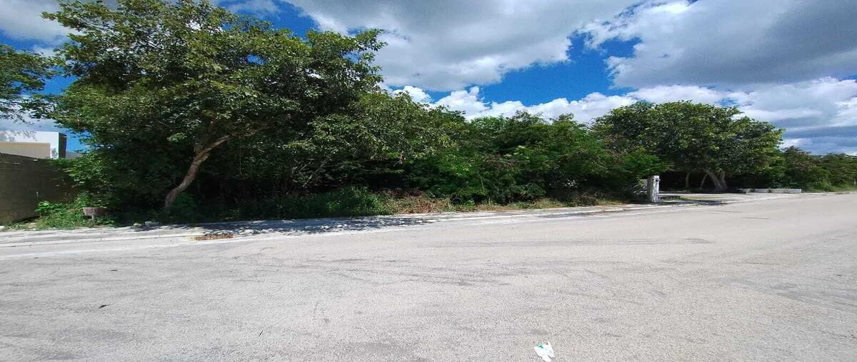 Foto de terreno habitacional en venta en la rejoyada , la rejoyada, mérida, yucatán, 28735013 No. 05