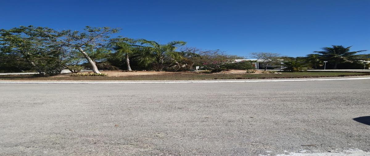 Foto de terreno habitacional en venta en . , la rejoyada, mérida, yucatán, 25036228 No. 05