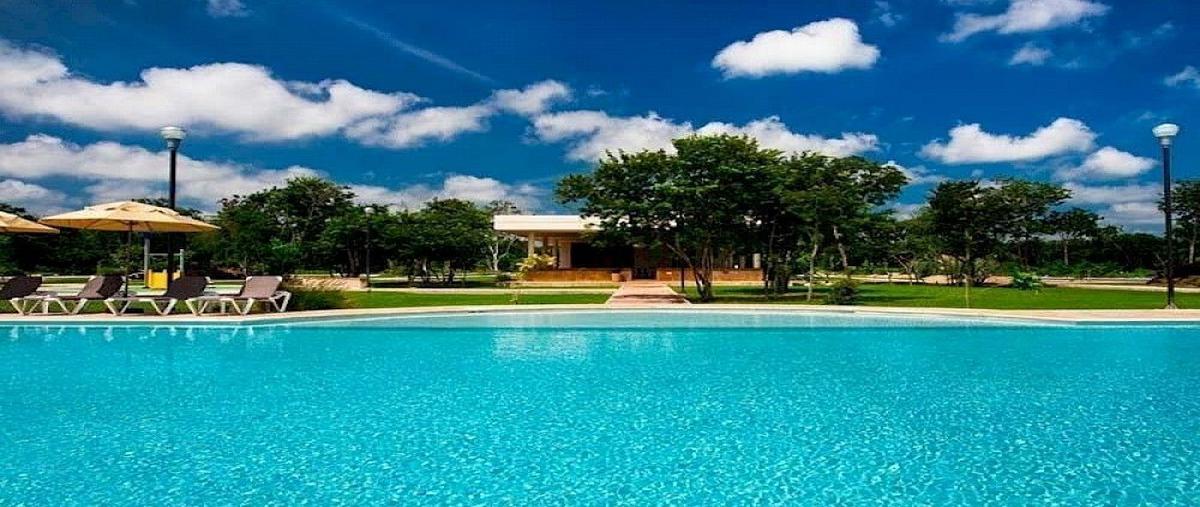 Foto de terreno habitacional en venta en  , la rejoyada, mérida, yucatán, 25319082 No. 04