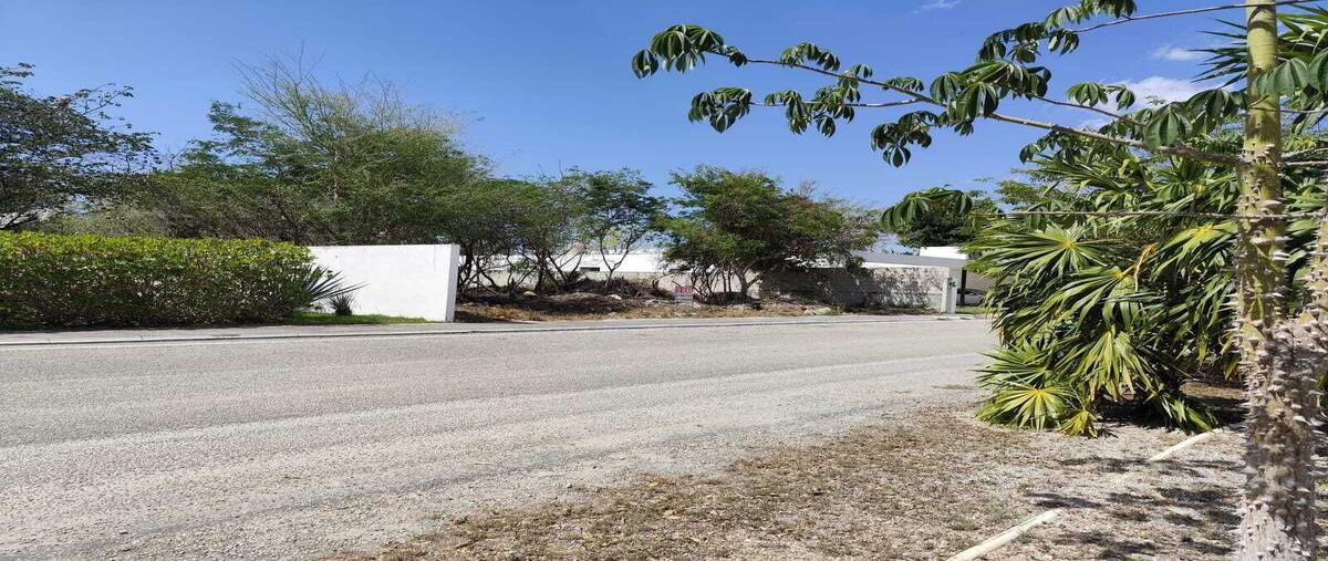 Foto de terreno habitacional en venta en . , la rejoyada, mérida, yucatán, 0 No. 05