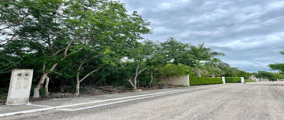 Foto de terreno habitacional en venta en  , la rejoyada, mérida, yucatán, 0 No. 04