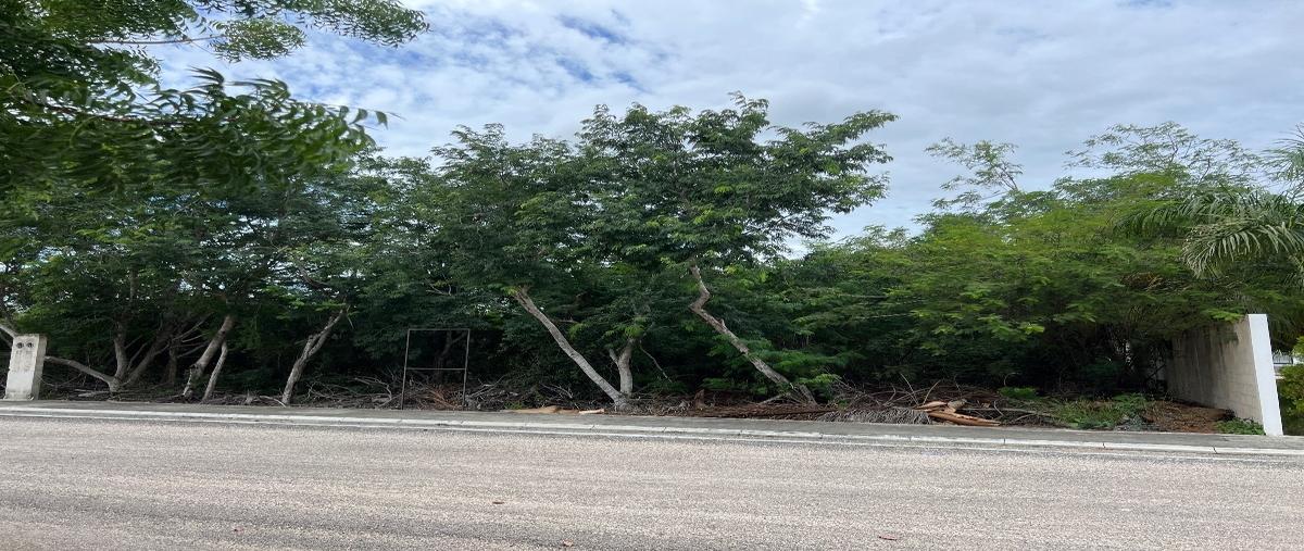 Foto de terreno habitacional en venta en  , la rejoyada, mérida, yucatán, 0 No. 05