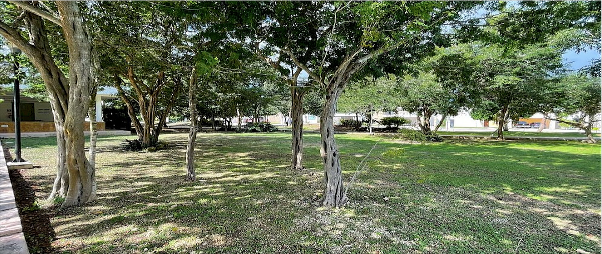 Foto de terreno habitacional en venta en  , la rejoyada, mérida, yucatán, 0 No. 03