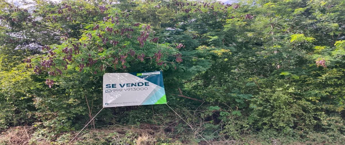 Foto de terreno habitacional en venta en la rejoyada whi311266, la rejoyada, mérida, yucatán, 0 No. 05