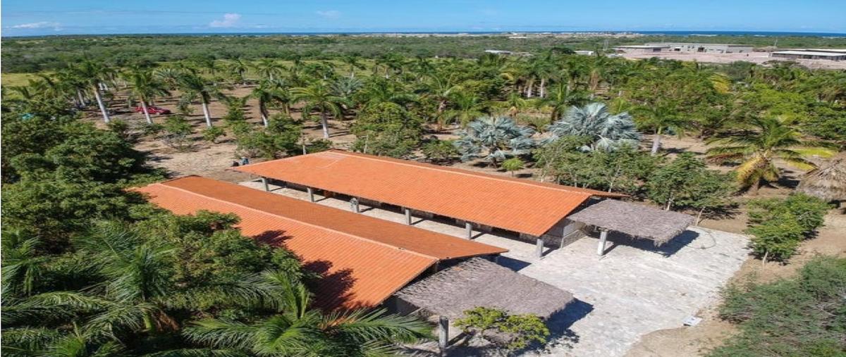 Foto de terreno habitacional en venta en  , la ribera, los cabos, baja california sur, 0 No. 05