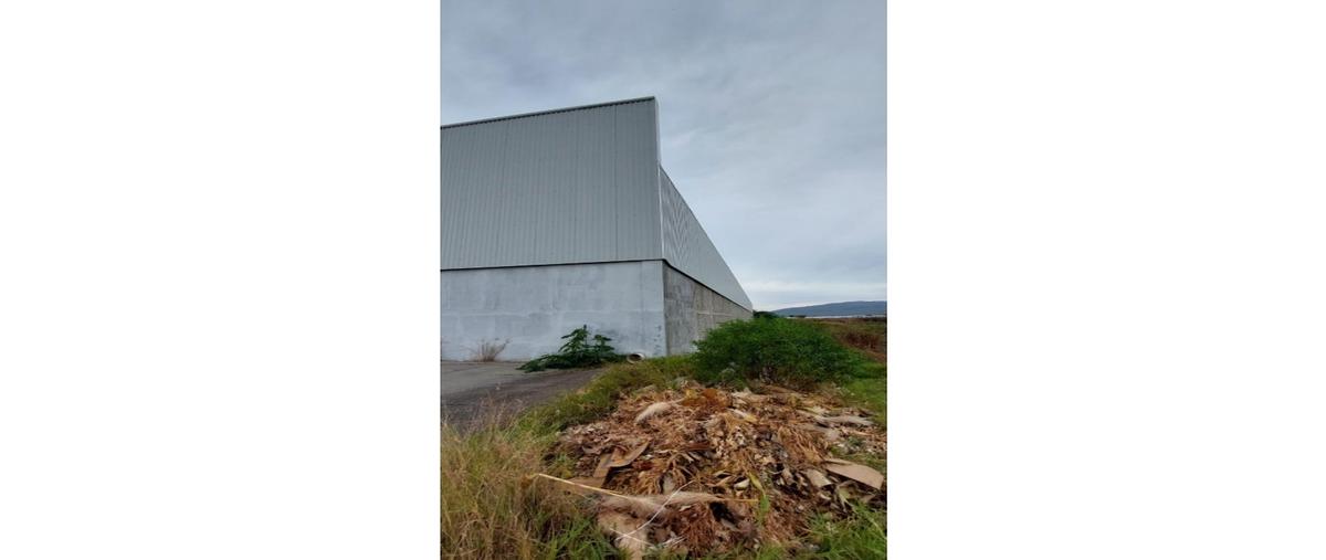 Foto de bodega en renta en  , la rinconada, zamora, michoacán de ocampo, 0 No. 03