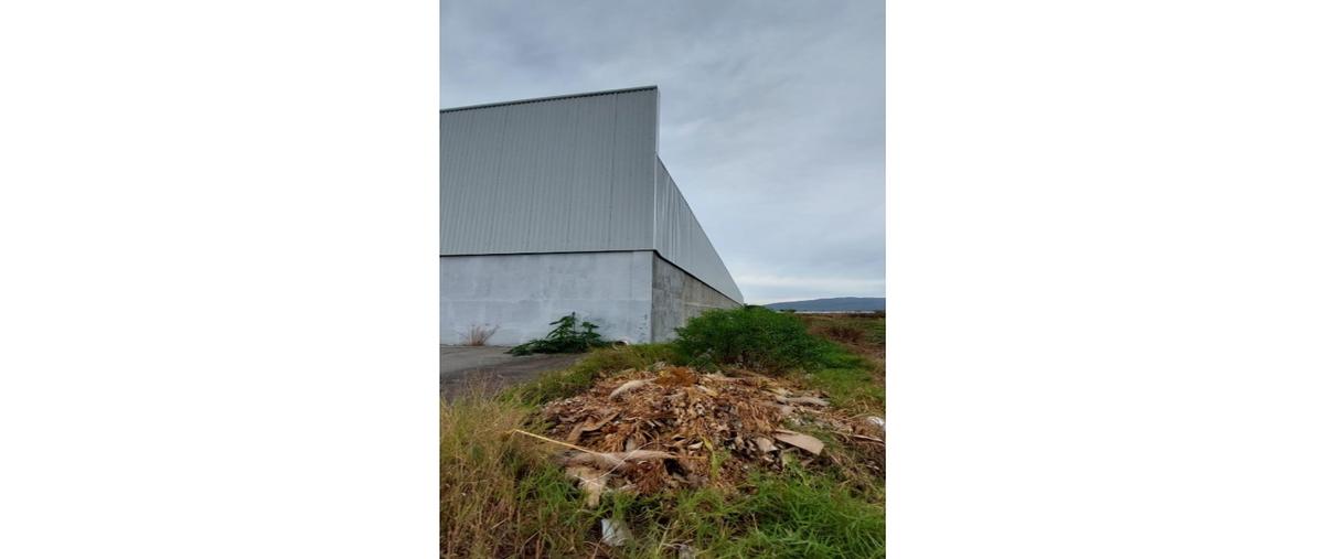 Foto de bodega en renta en  , la rinconada, zamora, michoacán de ocampo, 0 No. 05