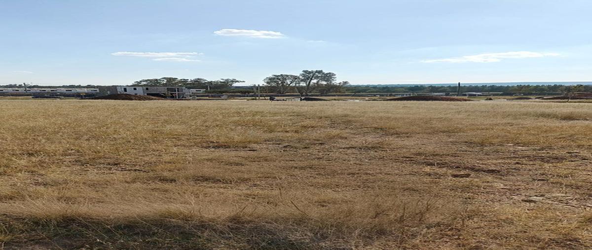 Foto de terreno habitacional en venta en  , la rioja, aguascalientes, aguascalientes, 31081935 No. 04