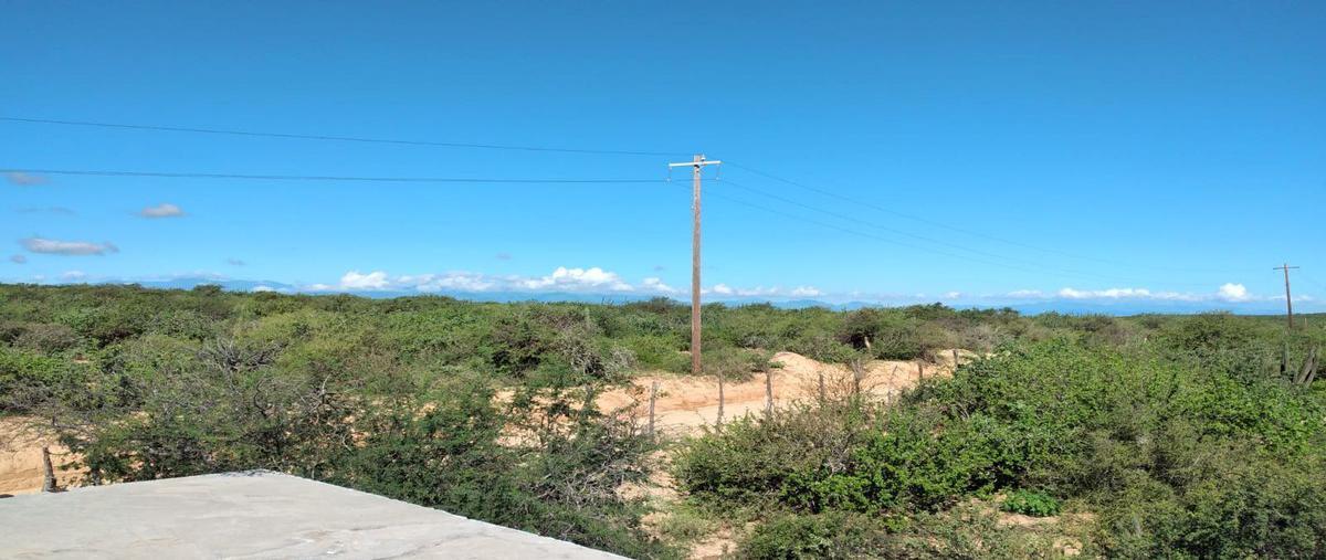 Foto de terreno habitacional en venta en  , la rivera, los cabos, baja california sur, 0 No. 04