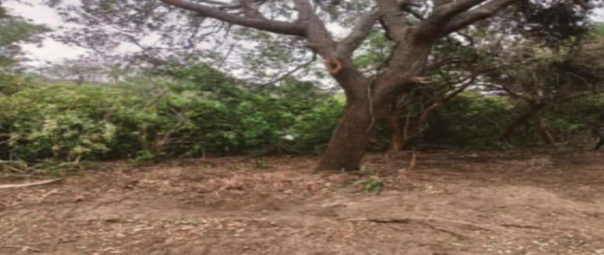 Foto de terreno habitacional en , la rivera, tampico alto, veracruz de ignacio de la llave, 0 foto 04 Foto de terreno habitacional en venta en , la rivera, tampico alto, veracruz de ignacio de la llave, 0 No. 04