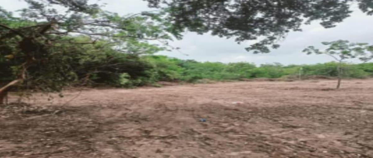 Foto de terreno habitacional en , la rivera, tampico alto, veracruz de ignacio de la llave, 0 foto 05 Foto de terreno habitacional en venta en , la rivera, tampico alto, veracruz de ignacio de la llave, 0 No. 05