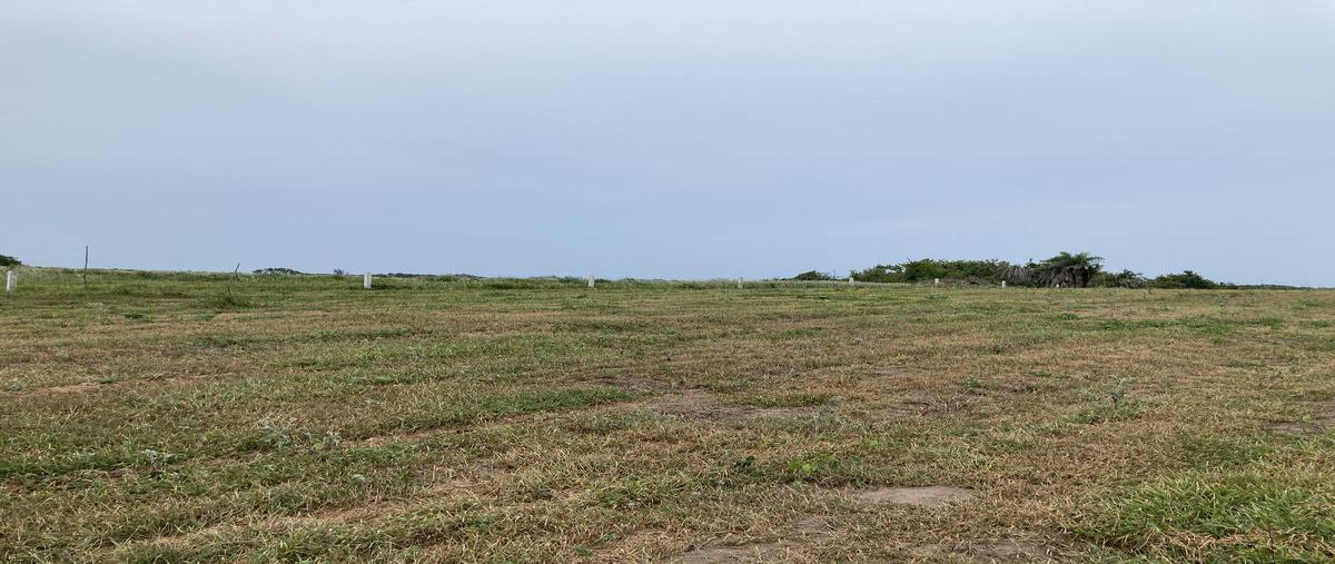 Foto de terreno habitacional en , la rivera, tampico alto, veracruz de ignacio de la llave, 0 foto 02 Foto de terreno habitacional en venta en , la rivera, tampico alto, veracruz de ignacio de la llave, 0 No. 02