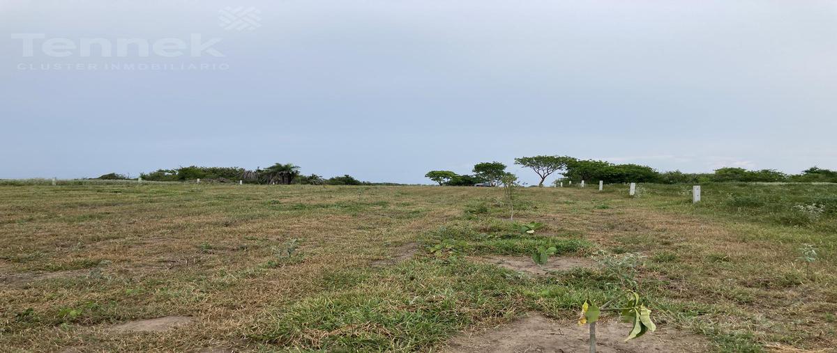 Foto de terreno habitacional en , la rivera, tampico alto, veracruz de ignacio de la llave, 0 foto 03 Foto de terreno habitacional en venta en , la rivera, tampico alto, veracruz de ignacio de la llave, 0 No. 03