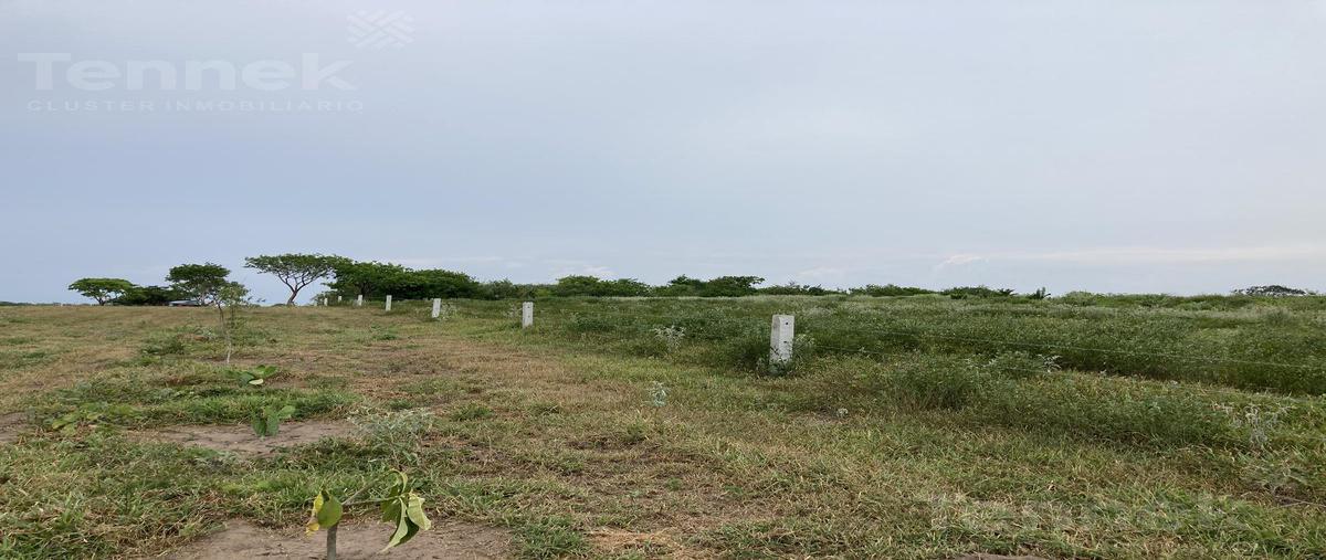 Foto de terreno habitacional en , la rivera, tampico alto, veracruz de ignacio de la llave, 0 foto 04 Foto de terreno habitacional en venta en , la rivera, tampico alto, veracruz de ignacio de la llave, 0 No. 04