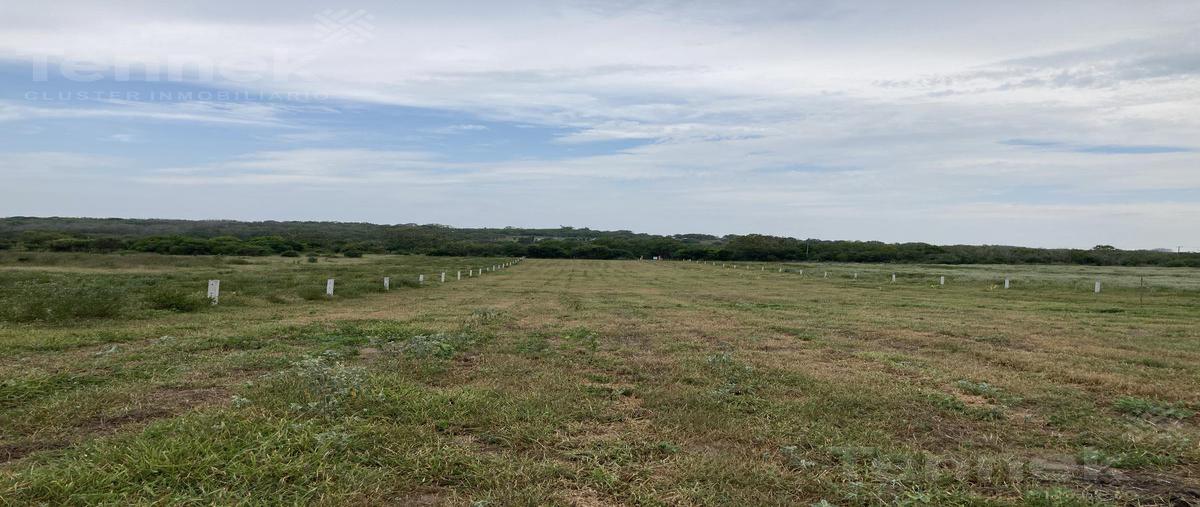 Foto de terreno habitacional en , la rivera, tampico alto, veracruz de ignacio de la llave, 0 foto 05 Foto de terreno habitacional en venta en , la rivera, tampico alto, veracruz de ignacio de la llave, 0 No. 05