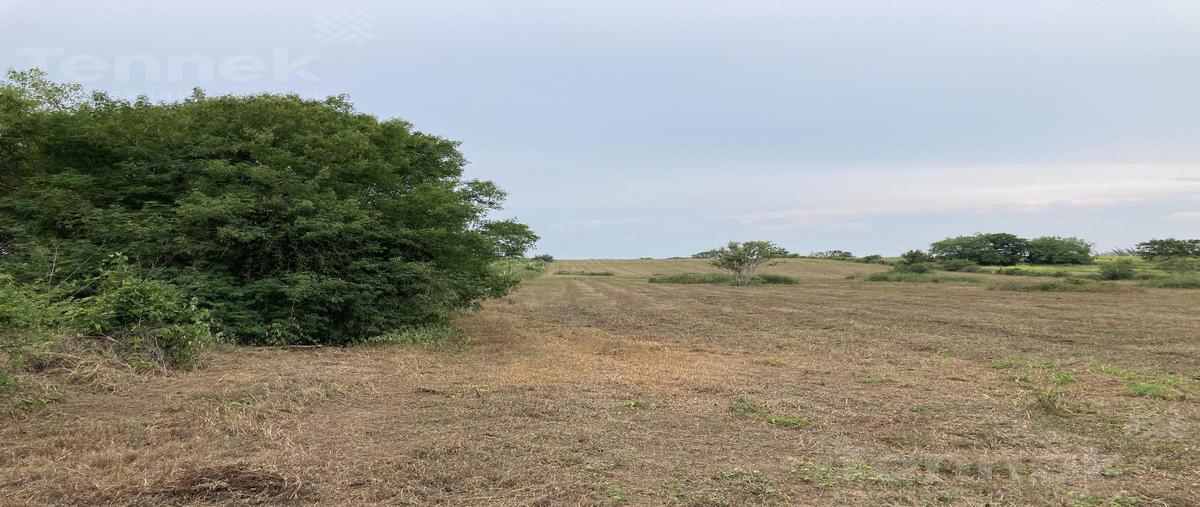 Foto de terreno habitacional en venta en  , la rivera, tampico alto, veracruz de ignacio de la llave, 25286169 No. 03